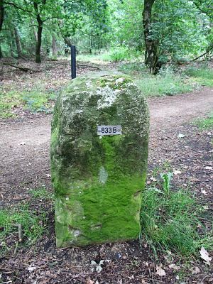 833b-zuiderzendvelderveld-buurserveen1