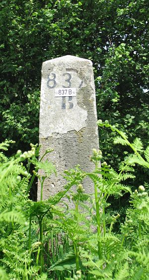 837b-haarmuhlewandeling1