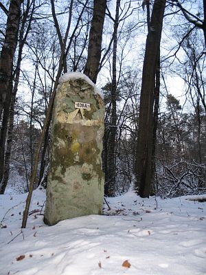 838a-witte-veen-11-01-09-41