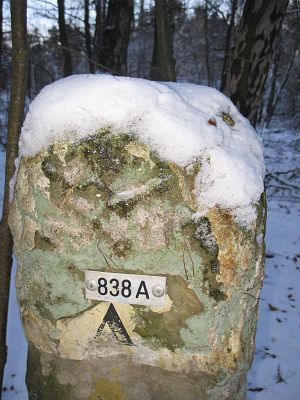 838a-witte-veen-11-01-091