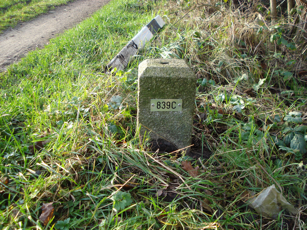 839c