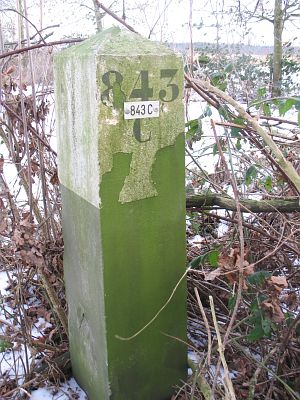 843c-sanderskuper