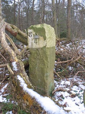 844c-omgeving-sanderskuper