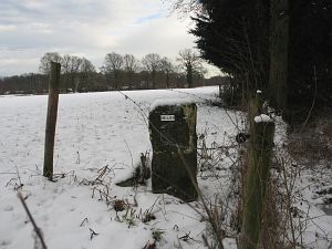 844g-tussen-sanderskuper-en-aamsveen-2