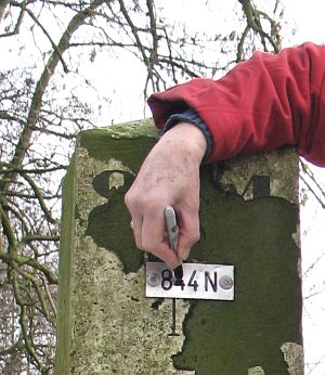 844n-aamsveen-detail