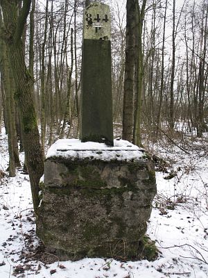 844p-aamsveen
