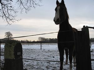 840h-zuidergrensweg-12-01-09