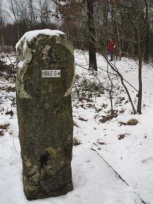 845g-aamsveen-12-01-09