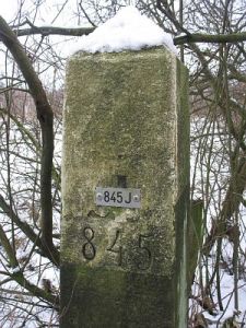 845j-aamsveen