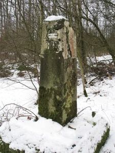 845m-aamsveen-2