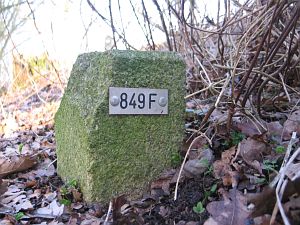 849f-wel-gevonden-02-03-2009
