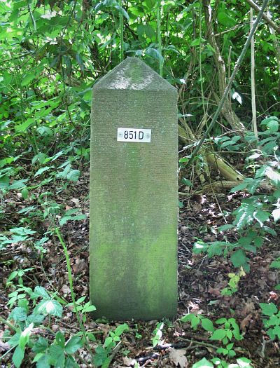 851-d