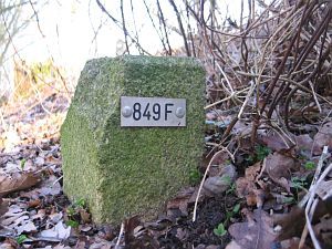 849f-wel-gevonden-02-03-2009