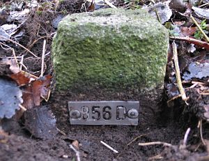 856d-overdinkel-gronau