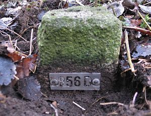 856d-overdinkel-gronau