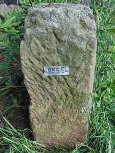 856e-overdinkel-gronau