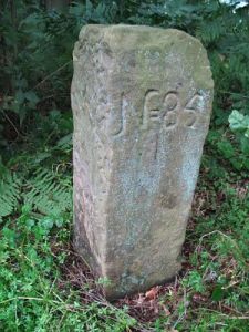 860-hagelsweg-overdinkel-achterzijde