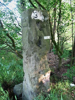 03-omgeving-ravenshorst1