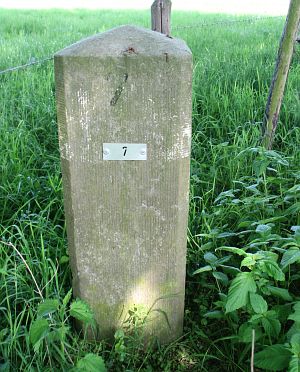 07-dinkelwiesen