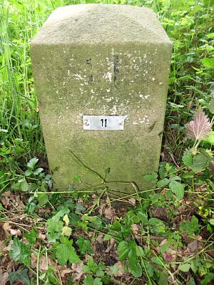 11-dinkelwiesen