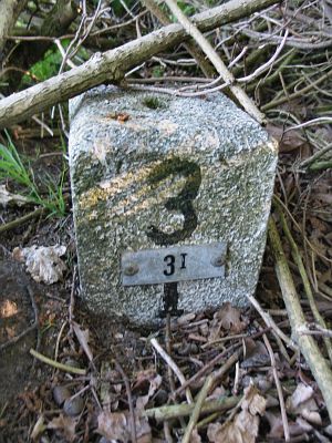 3-i-omgeving-ravenshorst1