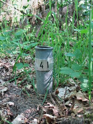 4-i-zandbergen-omg-gildehausweg1