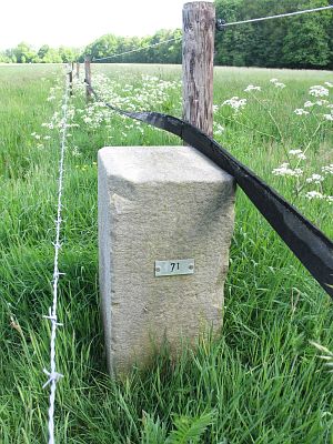 7-i-dinkelwiesen