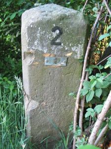 02-driland-de-pluim1