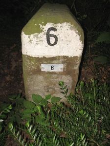 06-gildehauserweg-hoeve-aarnink1