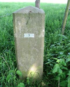 07-dinkelwiesen