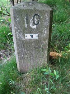 10-dinkelwiesen