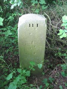 11-i-dinkelwiesen-gn