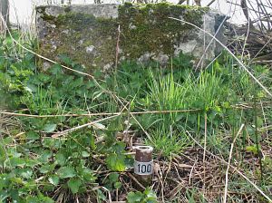 100-balderhaarsches-moor-jaggerschloot
