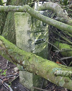 100-iii-balderhaarsches-moor-jaggerschloot