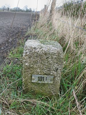 101-i-wiesengrund