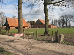 103-balderhaar1