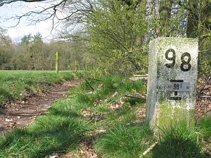98-i-de-barghaar-gem-vriezenveen