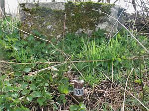 100-balderhaarsches-moor-jaggerschloot
