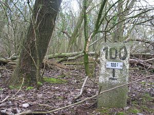 100-i-balderhaarsches-moor-jaggerschloot