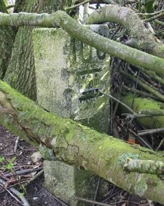 100-iii-balderhaarsches-moor-jaggerschloot