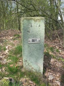 98-ii-de-barghaar-gem-vriezenveen