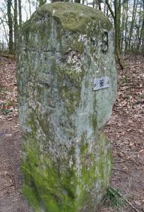 98-monkesbelt-kloosterhaar