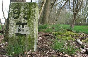 99-ii-balderhaarsches-moor-jaggerschloot