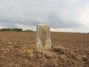 25b