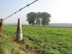 114n-omg-zuiverinstal-ri-maaband