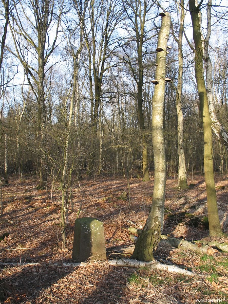 164c