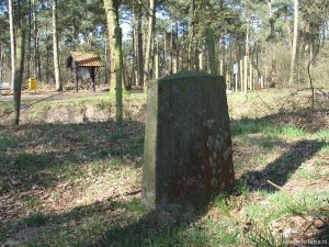 173c