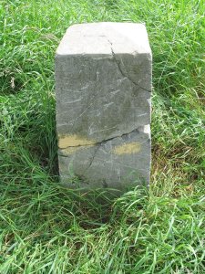 196c