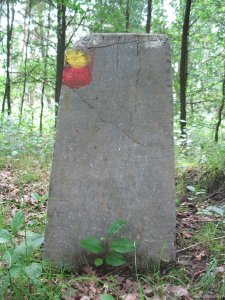 196d