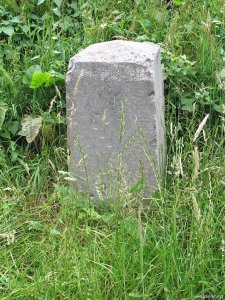 196e